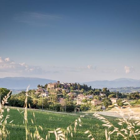Domus In Castro Bed & Breakfast Montecchio  ภายนอก รูปภาพ