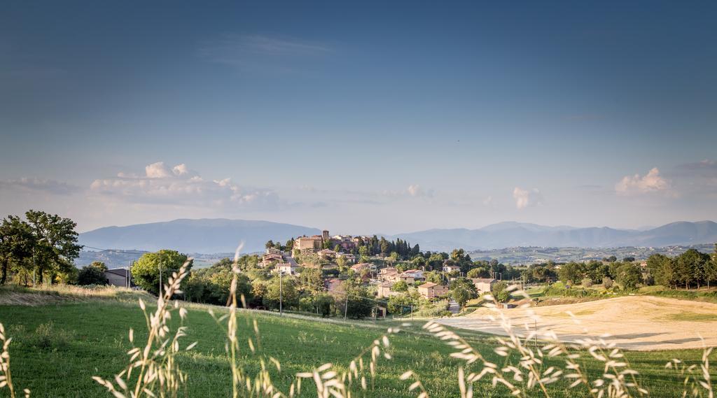 Domus In Castro Bed & Breakfast Montecchio  ภายนอก รูปภาพ